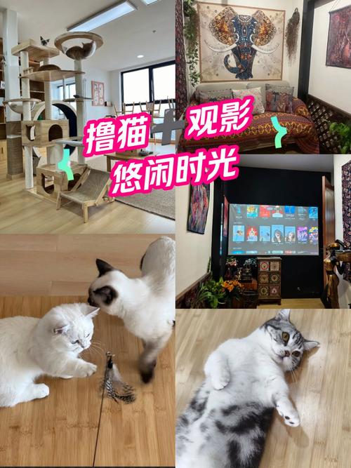 网上影院在线观看高清电影电视剧全集 - 免费追剧平台推荐
