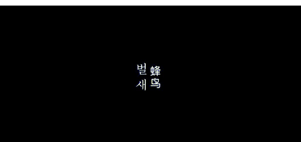 18禁用网站在线免费看的相关介绍
