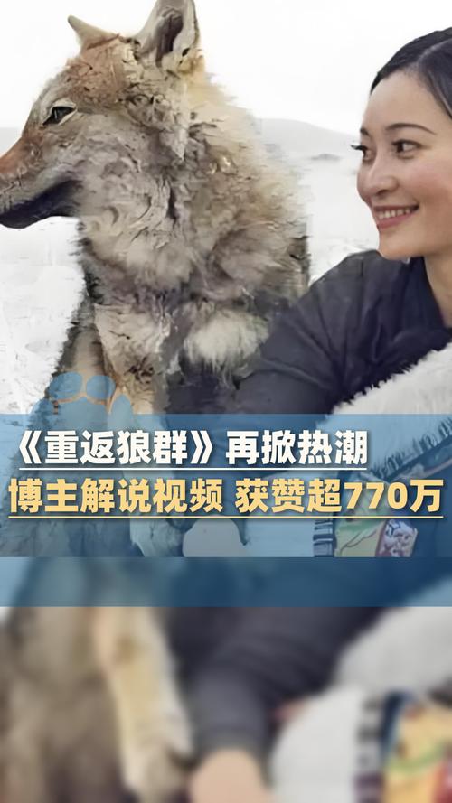 黄色录像黄色录像黄色的相关介绍