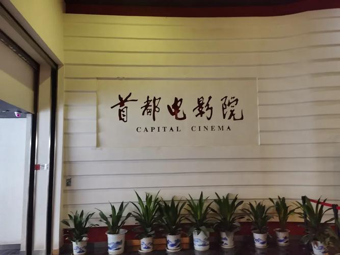 神马影院爱神马最新免费观看入口 | 电影电视剧在线追剧神器