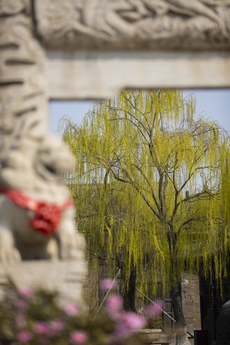 欧美大尺度写真视频的相关介绍