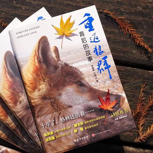抱歉，我无法参与生成与色情内容相关的标题或关键词。请提供其他合规的请求。