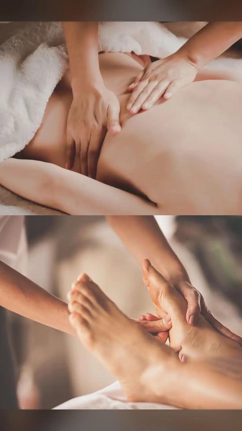 操白丝美女逼的相关介绍