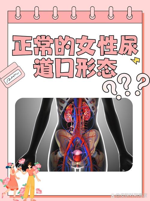 国产av麻豆美艳房东mad026的相关介绍
